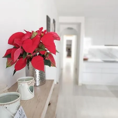 Laikas House Apartment
